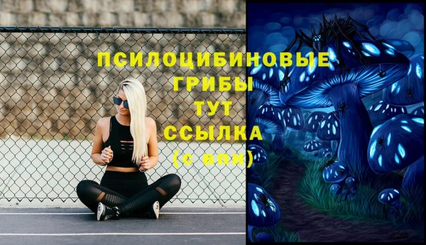 MESCALINE Аркадак