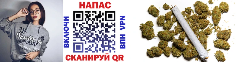 Шишки марихуана планчик  Лиски 